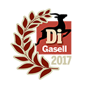 Vinnare av Dagens Industri Gasell 2017