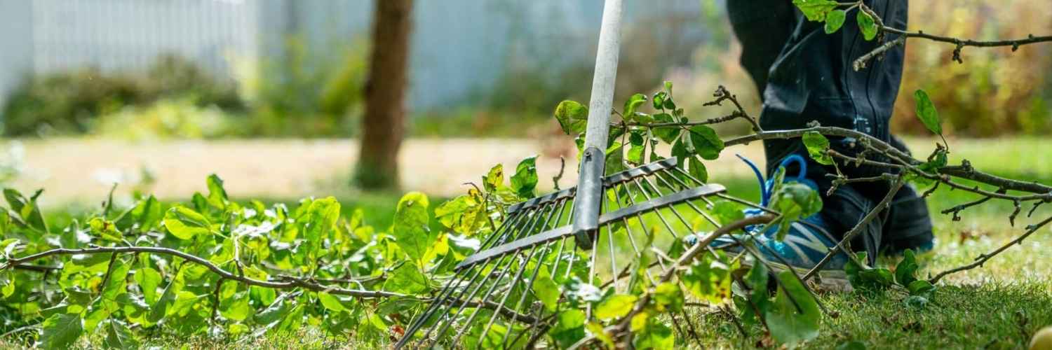 Trädgårdsskötsel Trädgårdsskötsel